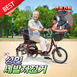 실버이크 세발자전거 성인 6단 변속 삼륜자전거 삼발이 실버 어르신 등받이 페달 바구니, 1개, 152cm, 블랙 (권장155cm~185cm)